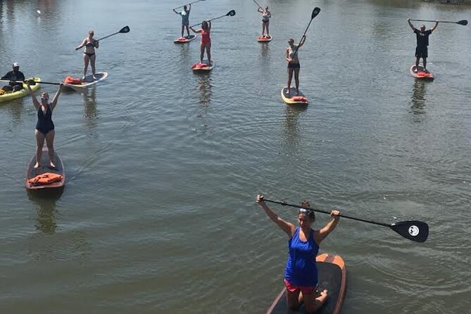 Dolphin, Manatee and SeaTurtle SUP Adventure Tour of St Augustine - Guest Experiences and Reviews