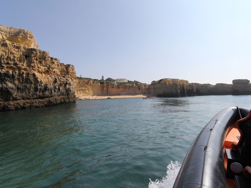 Dolphin Safari and Cave Tour in Vilamoura - Itinerary Details