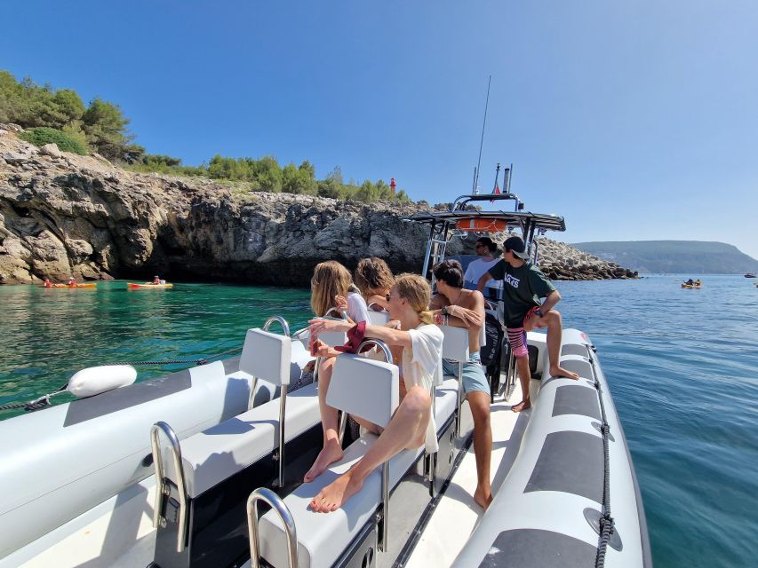 Dolphin Watching: Sesimbra / Arrábida Natural Park - Highlights and Unique Features