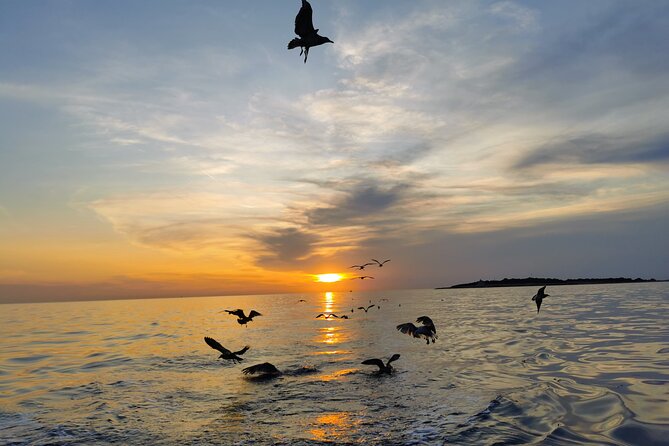 Dolphin Watching Sunset Boat Trip in Pula With Dinner - Alcoholic and Soft Drinks