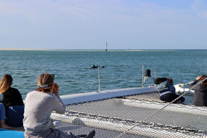 Dolphin Watching Tour by Catamaran From Lisbon - Booking Details