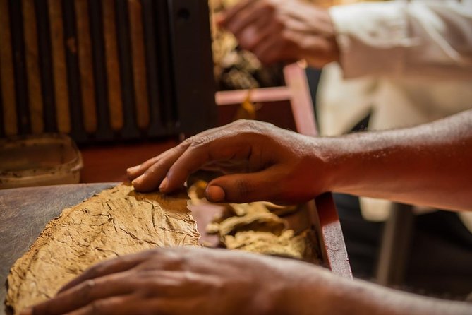 Dominican Cigar Factory Tour - Cigar-Making Process Demonstration