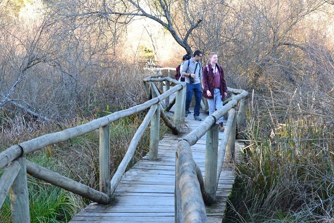 Donana National Park: Guided Day Tour From Seville - Reviews