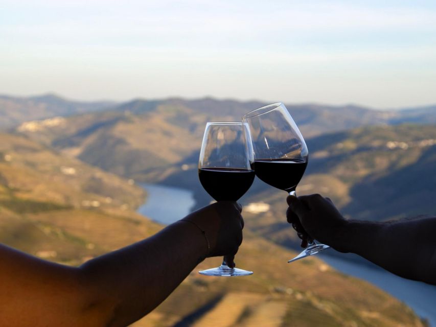 Douro Valley: 3 Vineyards Private Experience - Wine Tastings and Pairings