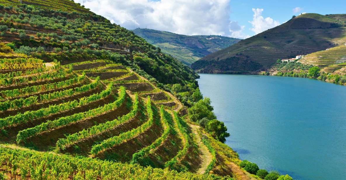 Douro Valley & Amarante - From Porto or Guimarães - Taste Variety of Port Wines