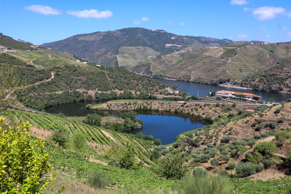 Douro Valley: Douro Valley Tour Including 3 Wineries - Exclusions