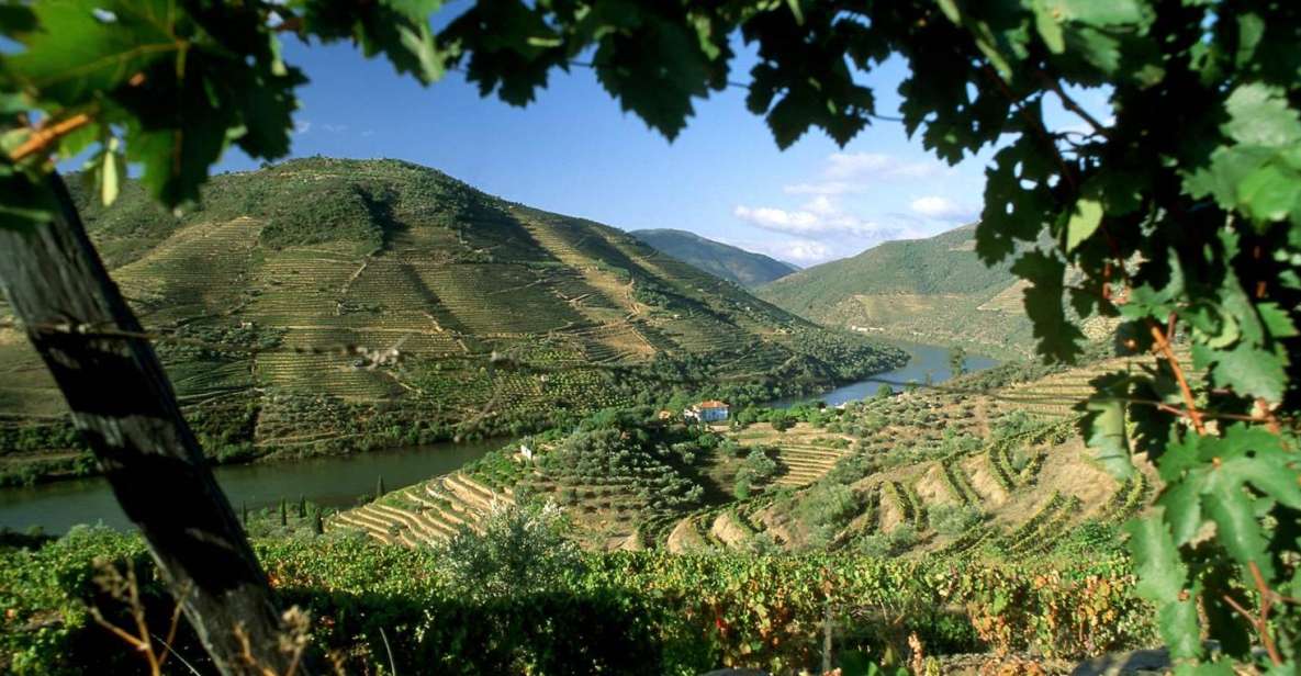 Douro Valley: Full-Day Private Tour From Porto - Discover Amarantes Historic Bridge