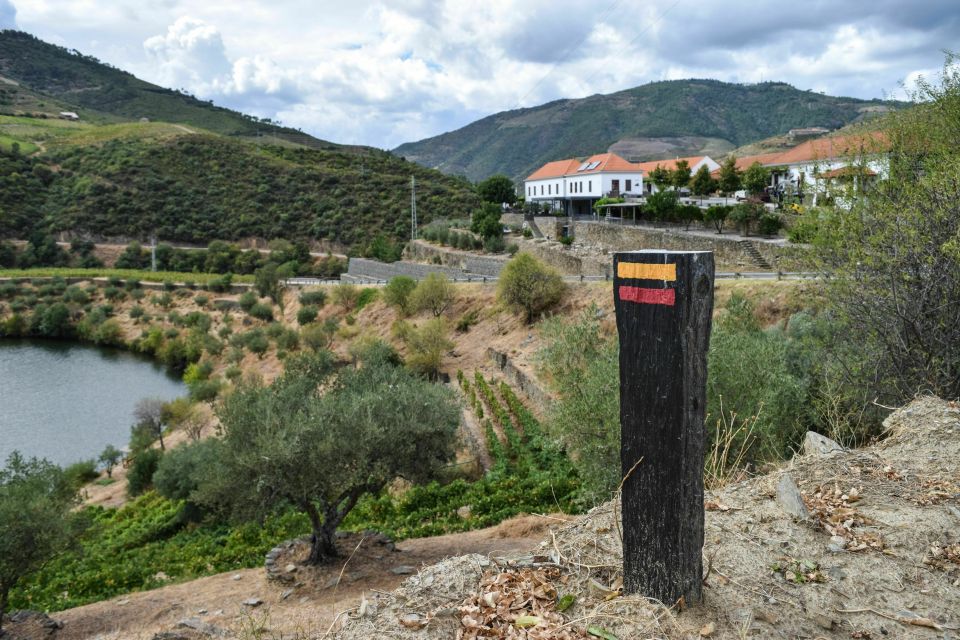 Douro Valley: Quinta Do Tedo Wine Experience With Picnic - Winery Tour and Tastings