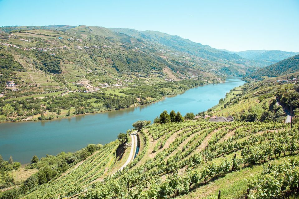 Douro Valley: Small-Group Wine Tasting Tour, Lunch & Boat - Douro River Cruise