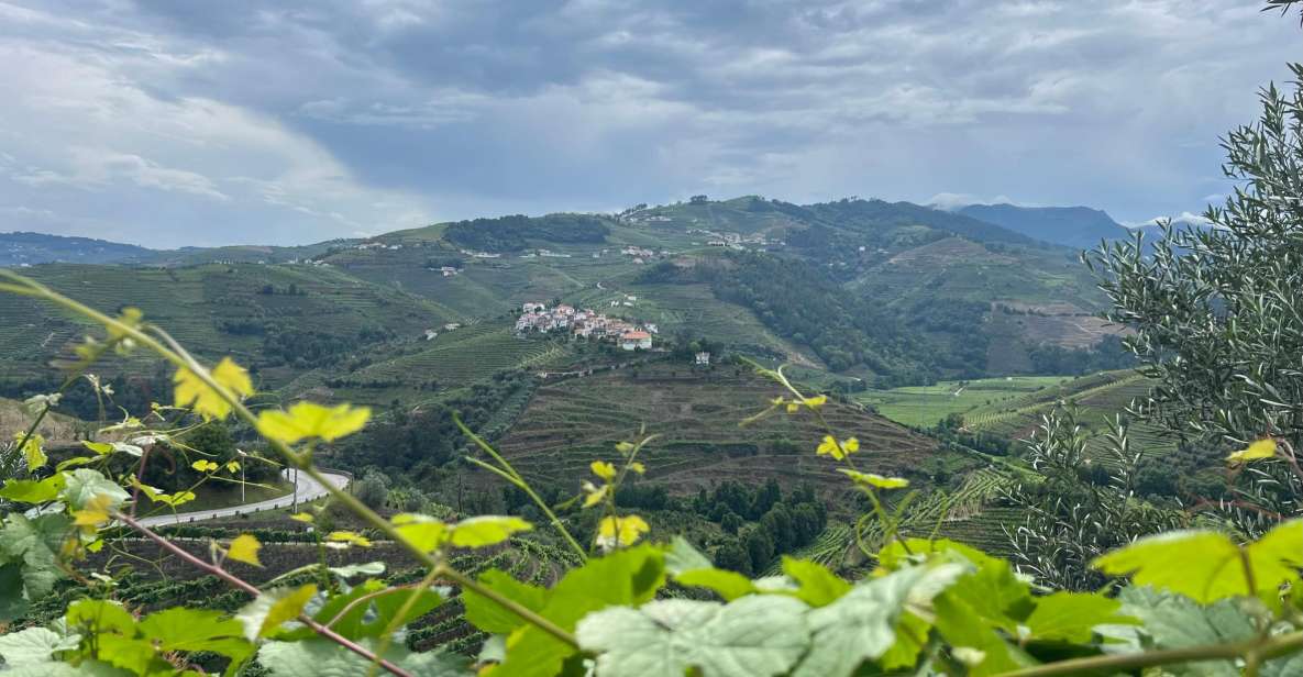 Douro Valley Tour - Douro Valley Wineries