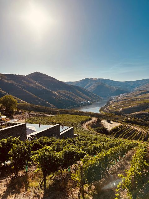 DOURO VALLEY W/ 2 Boutique Wineries, Lunch and 1h Boat Tour - Highlights of the Tour