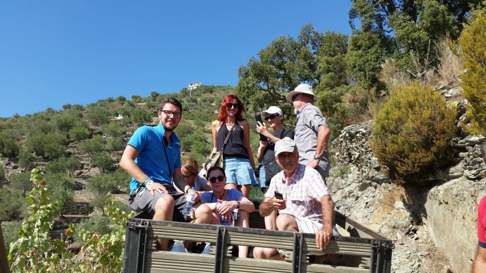 Douro Valley Wine Tasting From Porto - Wine Tasting Experience