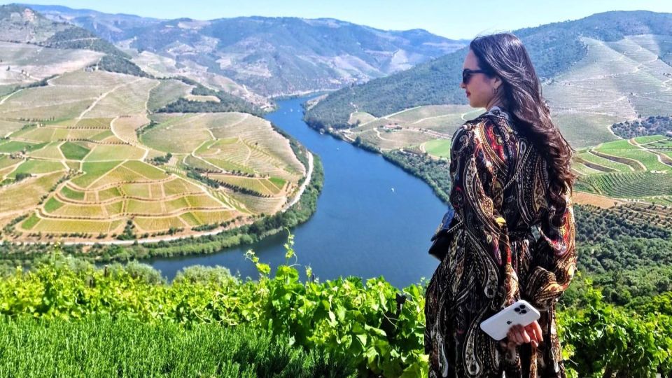 Douro Valley:Expert Wine Guide,Boat, Wine, Olive Oil & Lunch - Wineries Visit