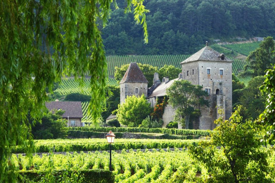 Driving Tour in a Citroën 2CV With Wine Tasting - Burgundy Grands Crus Route