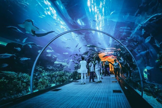 Dubai Aquarium and Underwater Zoo Admission Ticket With Options - Accessibility and Transportation