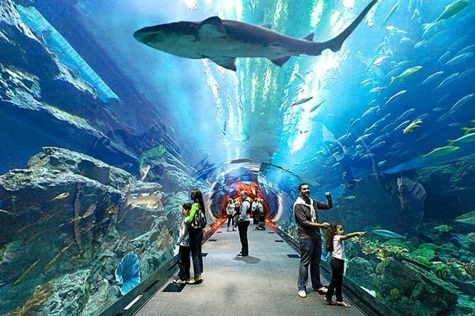 Dubai Aquarium and Underwater Zoo With Penguin Cove Tickets. - Ticket Options and Policies