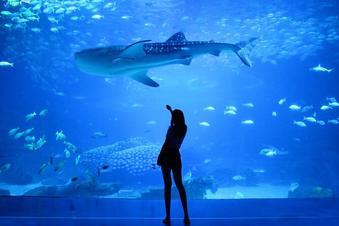 Dubai Aquarium and Underwater Zoo - Accessibility and Visitor Considerations