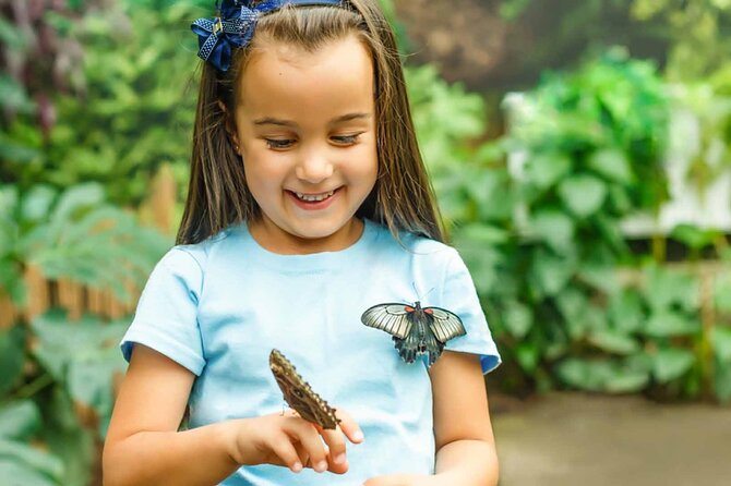 Dubai Butterfly Garden : Skip The Line / Mobile Voucher Accepted - Colorful Plants and Flowers