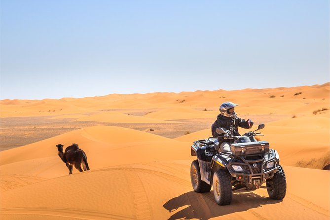 Dubai Desert Dinner, Camel Ride, Sandboarding, Live Shows, BBQ - Tour Highlights