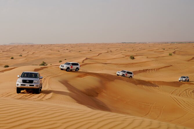 Dubai Morning Desert Safari With Quad Biking & More Activities - Short Camel Ride Experience