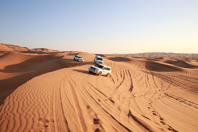 Dubai Red Dune Desert Safari, Camels, Sandboarding & BBQ Options - Sandboarding