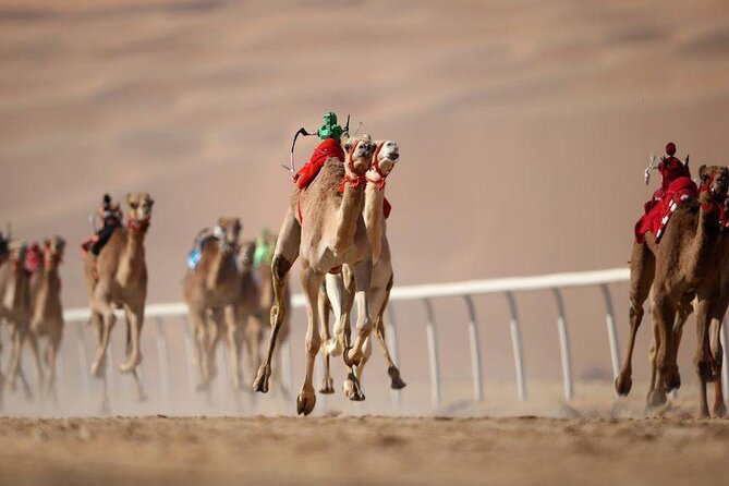 Dubai Royal Camel Race With Prime Seats & Short Camel Ride - Meeting Point and Logistics