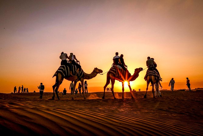 Dubai Sunset Camel Trekking With Shows & BBQ Dinner - Al Khayma Desert Camp Experience