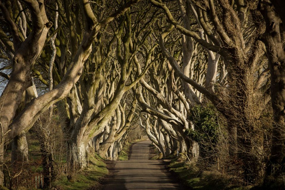 Dublin: Giants Causeway, Dark Hedges & Titanic Guided Tour - Tour Experience