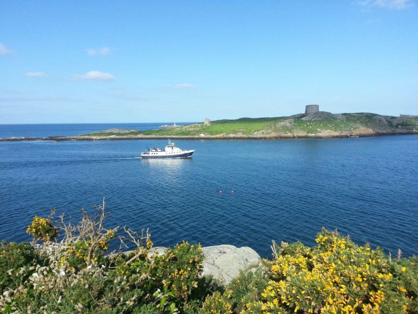 Dublin: Howth Cliffs and Irelands Eye Boat Cruise - Highlights of the Cruise