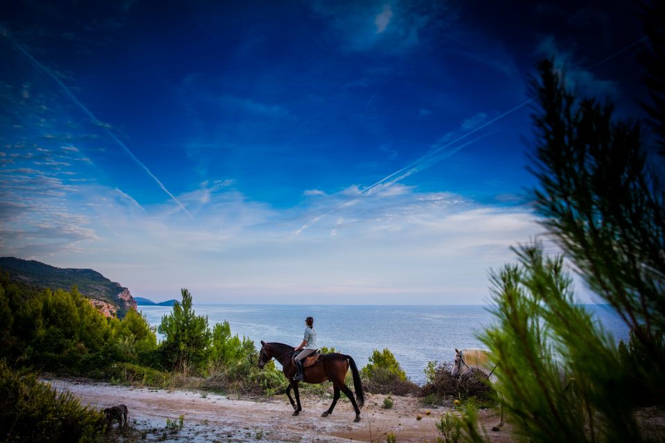 Dubrovnik Kojan Koral: Horseback Riding - Traverse Hidden Trails