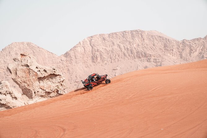 Dune Buggy & Private Dinner in the Dunes in Mleiha National Park - Opportunity to Discover Hidden Wonders