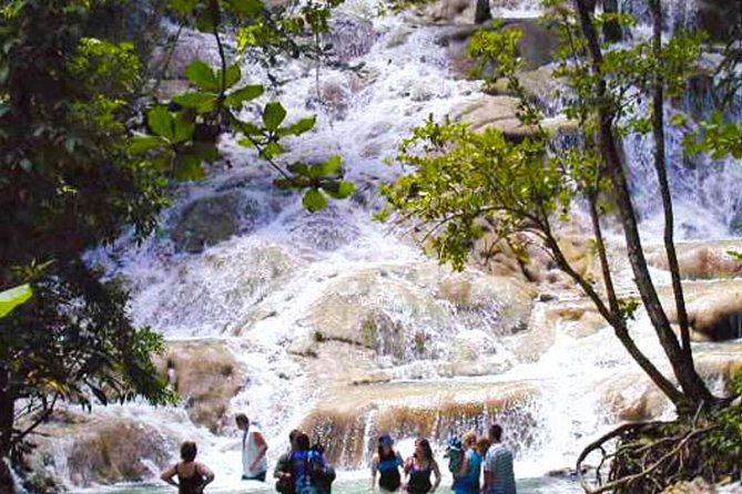 Dunns River Falls Plus Bob Marley Nine Mile Private Tour - Tour Details