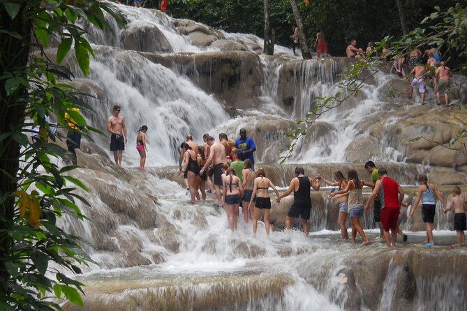 Dunns River Falls Plus Luminous Lagoon (Glistening Water)Private Tour - Participant Guidelines