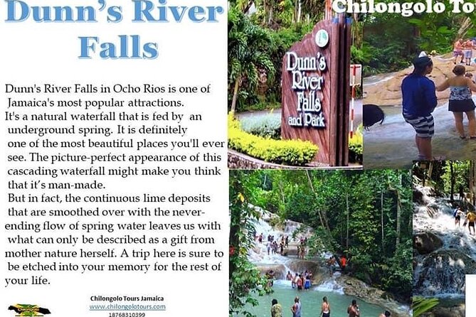 Dunn'S River Falls,Zip Lining & Horseback Riding Combo Tour From Montego Bay - Horseback Riding Adventure