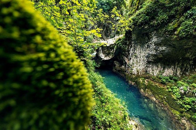 Durmitor - Black Lake & Tara River Canyon - North Montenegro Tour - Tara River Canyon