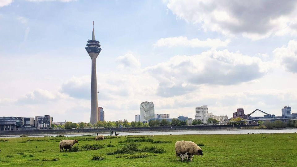 Düsseldorf: Self-Guided Walk of Most Pointless City Facts - Sport Im Park: Recreational Riddles