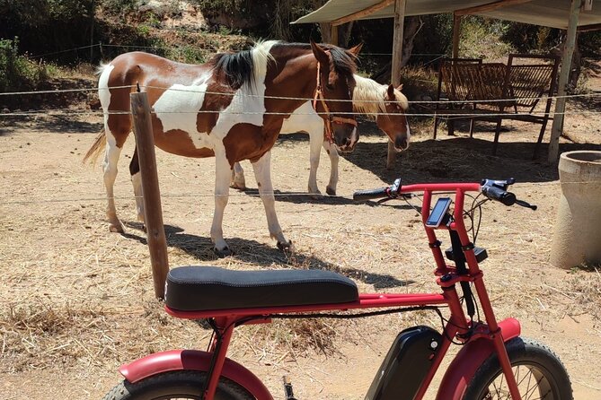 E-Bike Tour in Albufeira - Booking Information