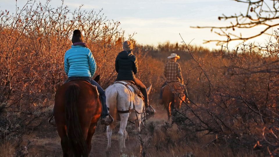 East Zion: Pine Knoll Horseback Tour - Inclusions and Restrictions