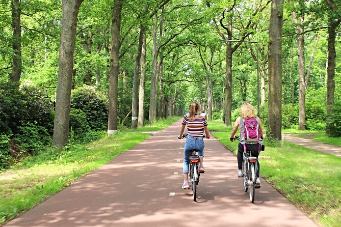 Eindhoven: Guided Bicycle Tour of the Highlights of Eindhoven - End Point