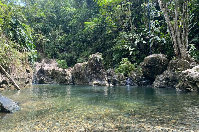 El Yunque Guided Waterfall Experience With Transport - Meeting and Pickup Information