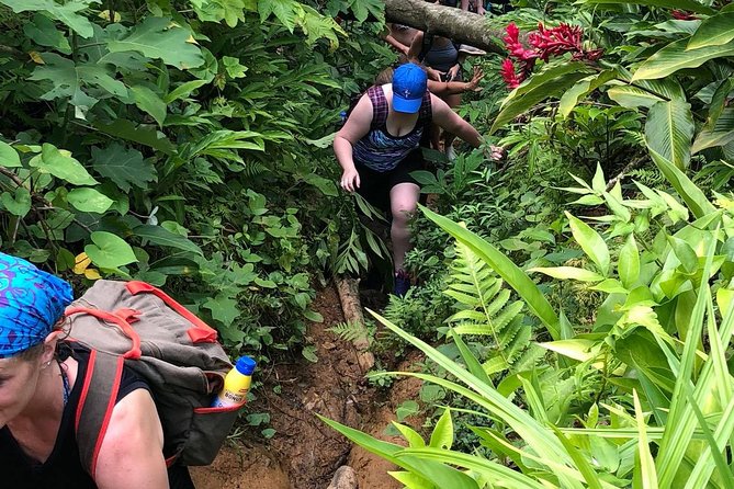 El Yunque off the Beaten Path Hiking Tour With Transport - Additional Information