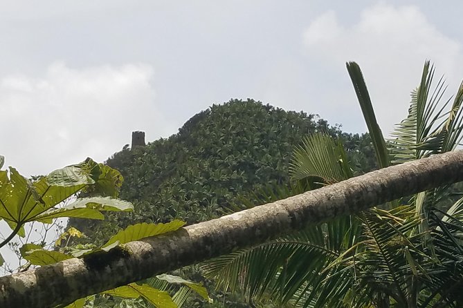 El Yunque Rainforest Full Day Private Tour - Reviews and Feedback