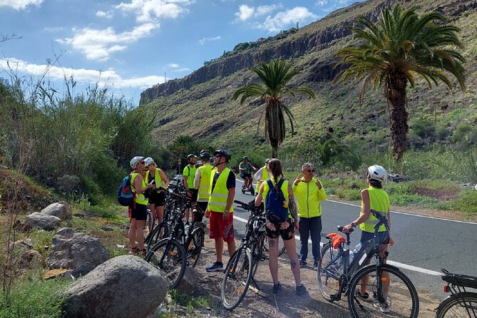 Electric Bike Mountain Tour Optional Tapas in an Aboriginal Cave - Visiting the Goat Farm