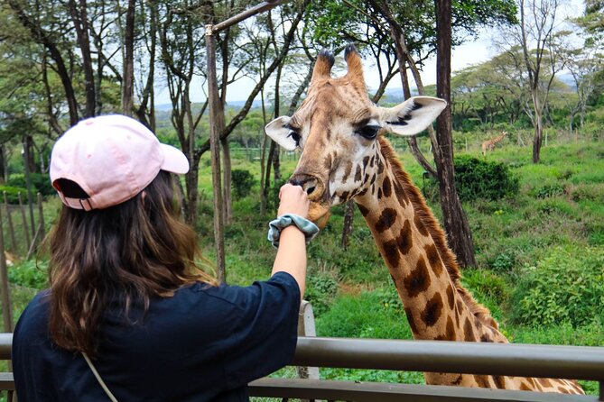 Elephant Orphanage,Nairobi National Park and Giraffe Center Tour. - Accessibility Features