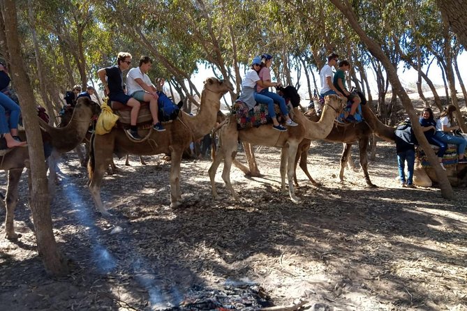 Essaouira Activities: Discover Essaouira by Quad - Meeting Point and Pickup