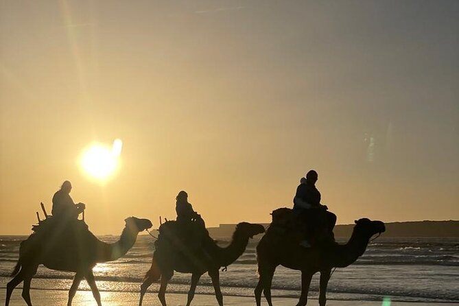 Essaouira Private Camel Ride (1 Hour). - Outfits and Amenities Included