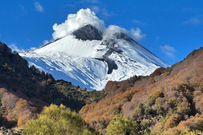 Etna Private Excursion - Food and Drink Tastings