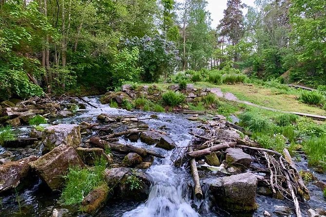 Evening Hike in Tyresta National Park - Small Group Experience