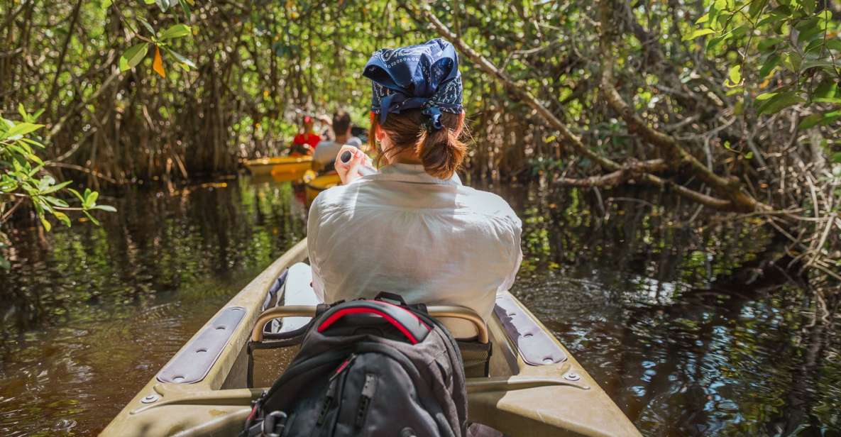 Everglades National Park: Mangrove Tunnel Kayak Eco-Tour - Tour Inclusions