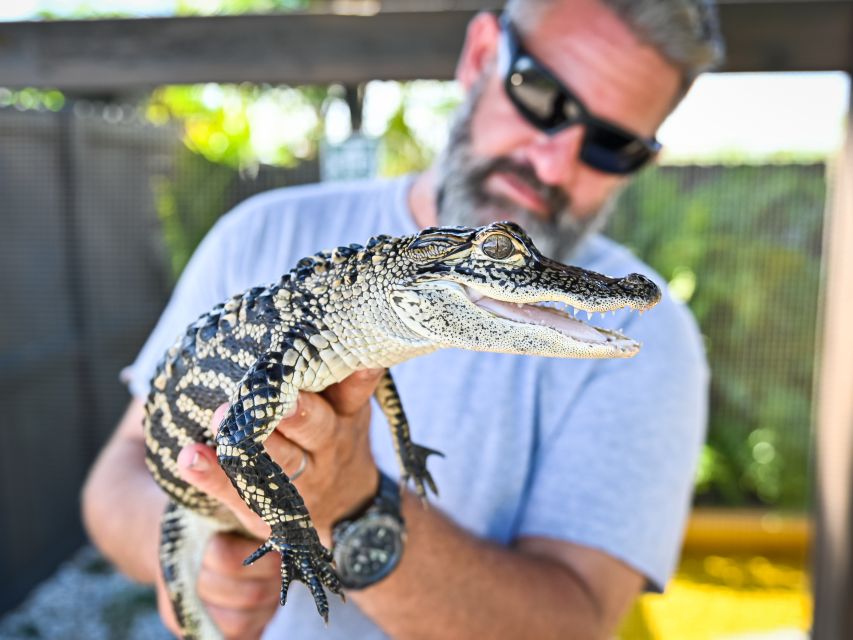 Everglades: Sawgrass Park Day Time Airboat Tour & Exhibits - Itinerary and Meeting Point